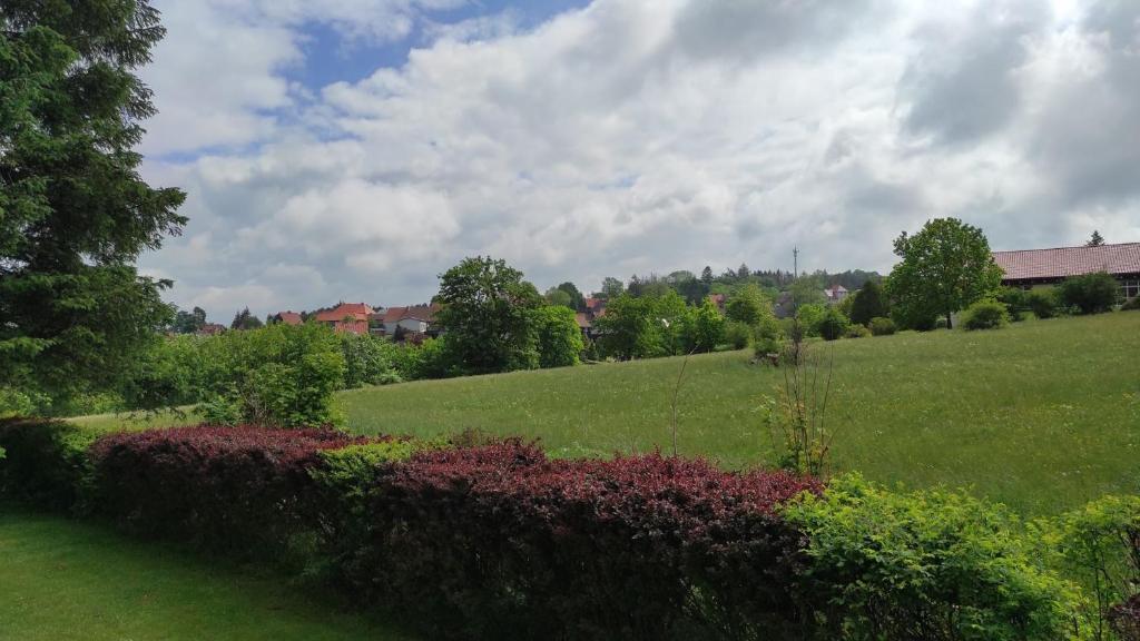 Fewo Harzer Wiesenblick photo