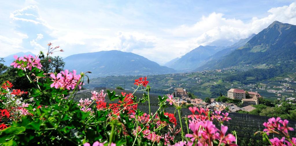 Pension Laurin - 5