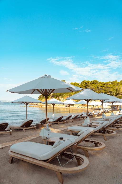 Coral Hotel Athens - zdjęcie 4