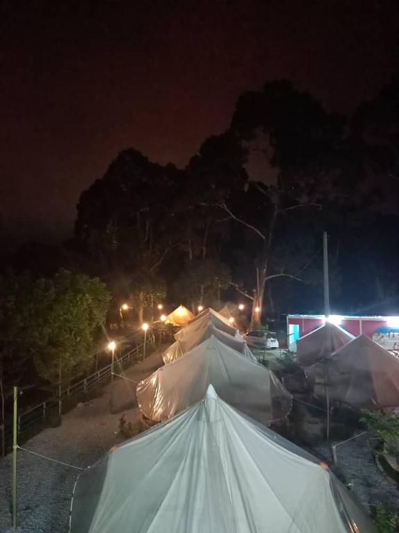 Tok Mat Glamping (TMG) photo