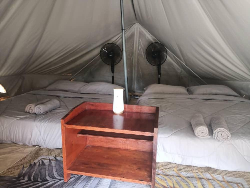 Tok Mat Glamping (TMG) photo
