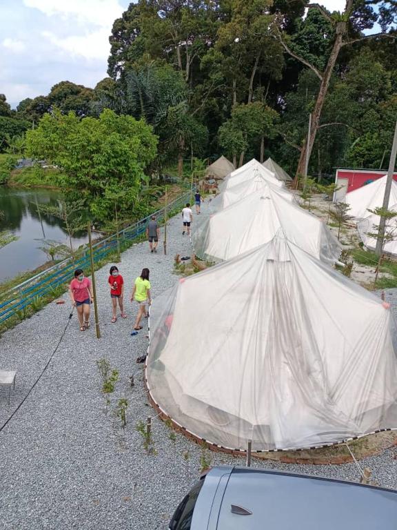 Tok Mat Glamping (TMG) photo