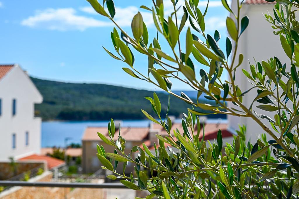 Apartment Perlitto, Cres