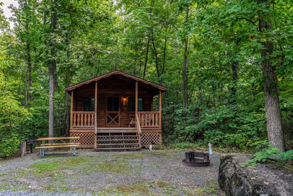 Drummer Boy Camping Resort photo