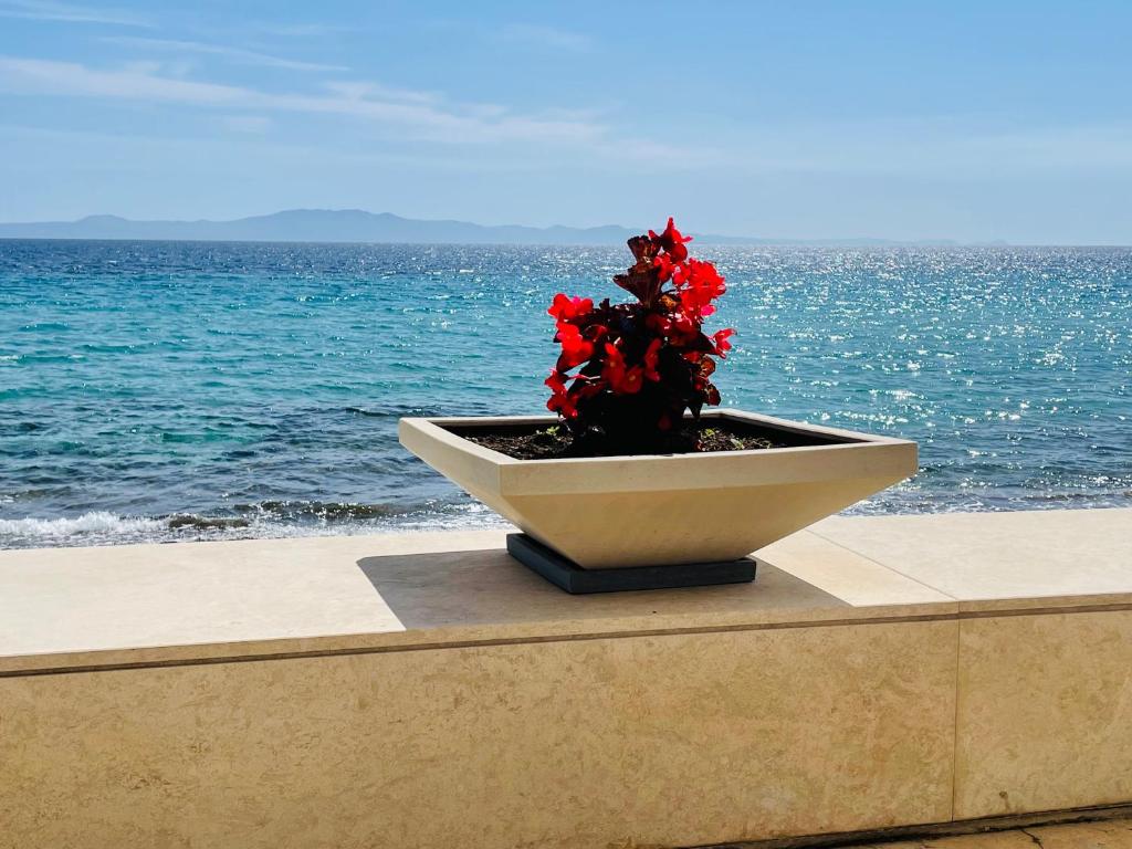 Afitis Boutique Hotel — Hotel in Chalkidiki