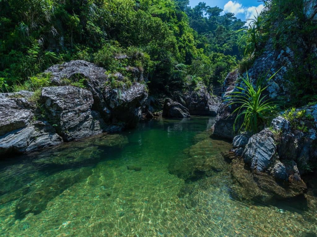 Surrounding environment