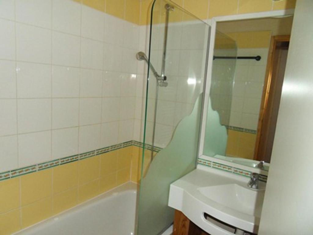 Appartement fonctionnel 2 pièces au pied des pistes, animaux admis - 4