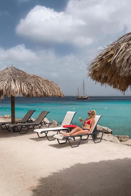 Divi Flamingo Beach Resort And Casino Photo 22