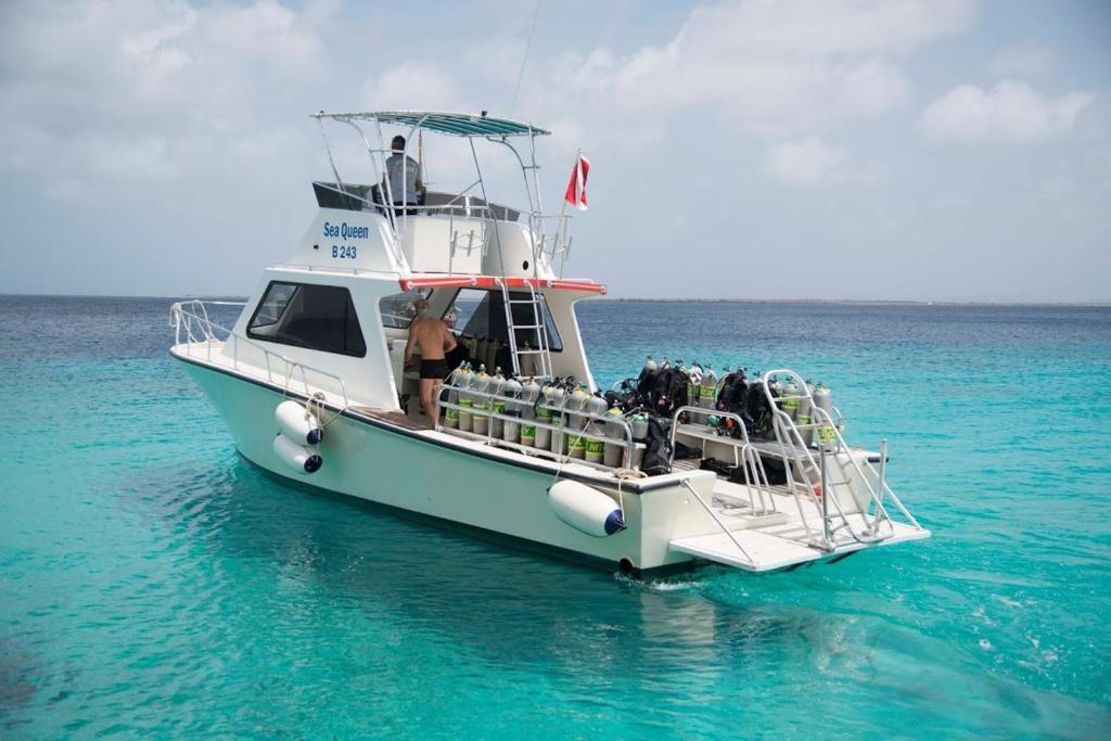 Divi Flamingo Beach Resort And Casino Photo 33