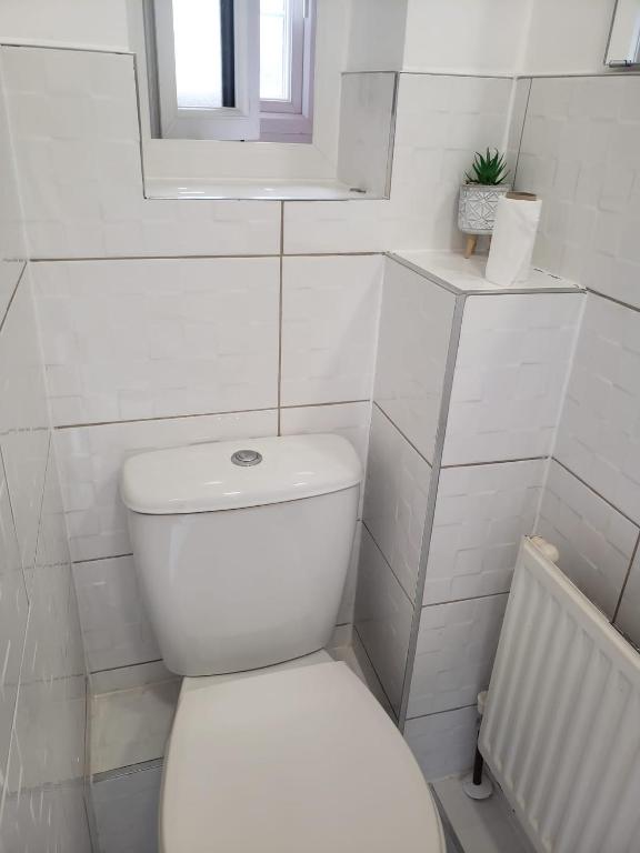 Vibrant Single Room photo