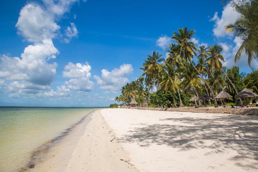 Antonio Beach Tree House Hotel & Spa photo