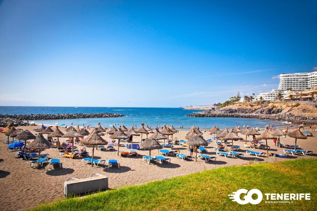 Beautiful appartment front of see, wifi free, Playa de las Americas