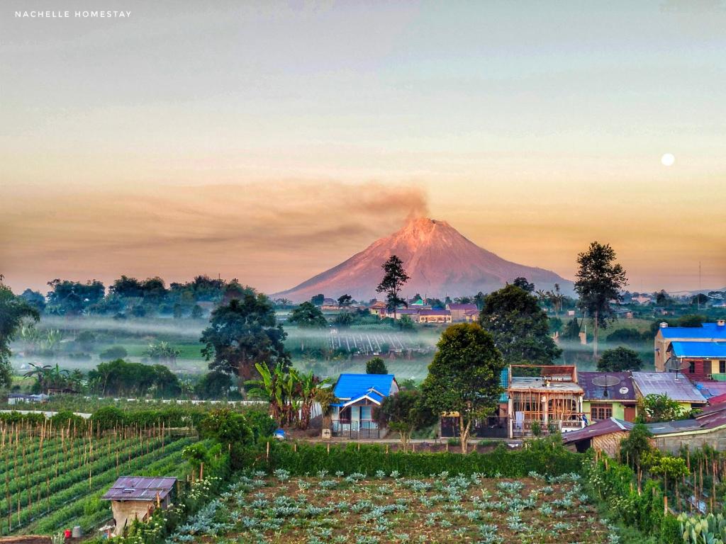 Nachelle Homestay