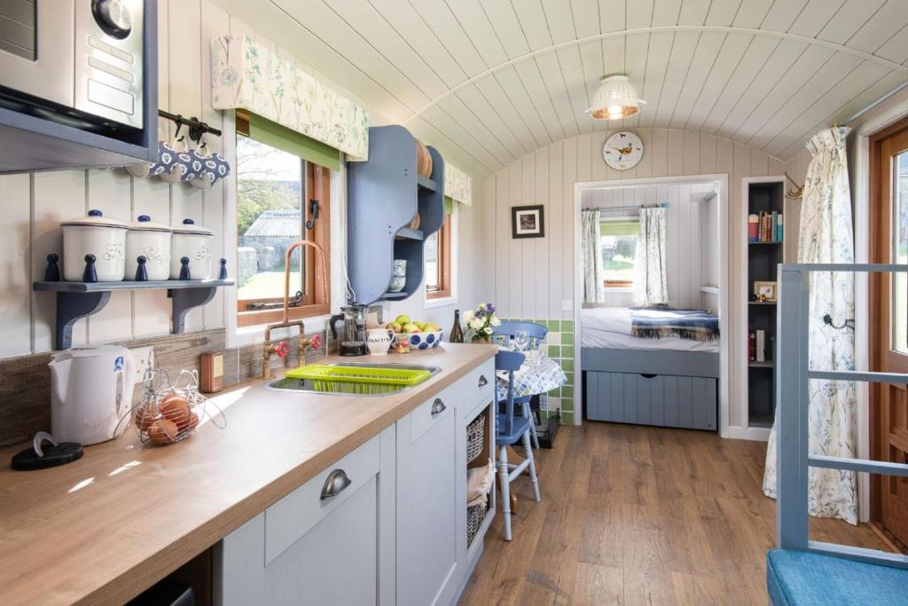 Teasel Shepherd's Hut photo 3