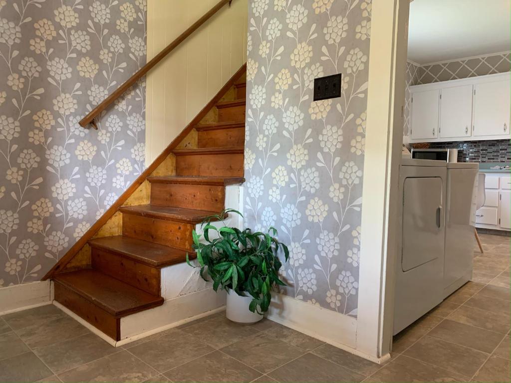 Alma Shore Lane Suites & Cottages photo