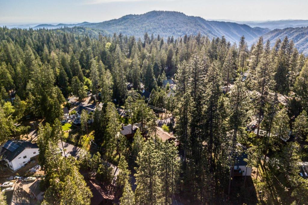 High Sierra Cabin with Grill, Serene Location!