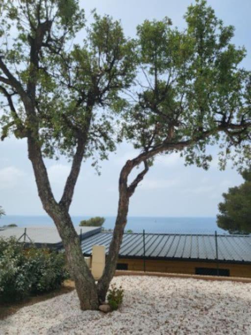 Camping L'ILE D'OR - 4
