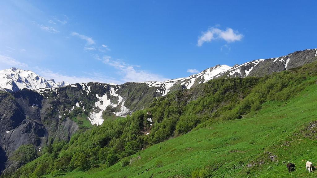 XOSTEL GOCHA, Mestia