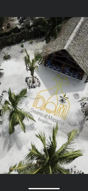 Dreams Of Mapacha — Hotel in Michamvi