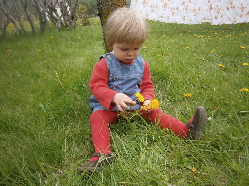 Sireksstadir Farm Holiday photo