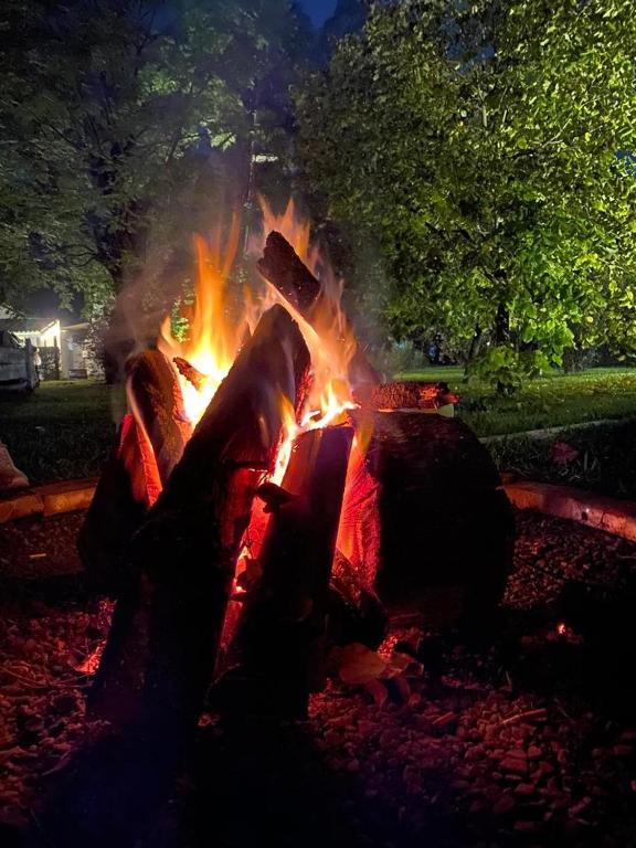 Glamping in BA - Cabanas photo