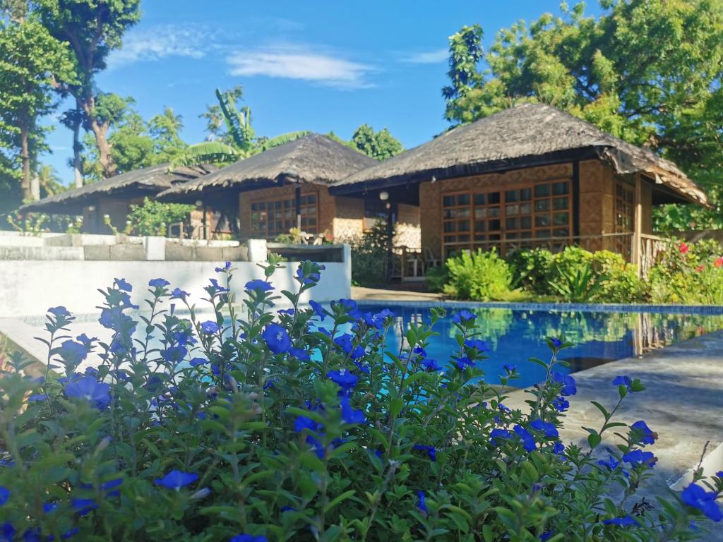 珂珂茉潜水度假村Kokomo Dive Resort photo