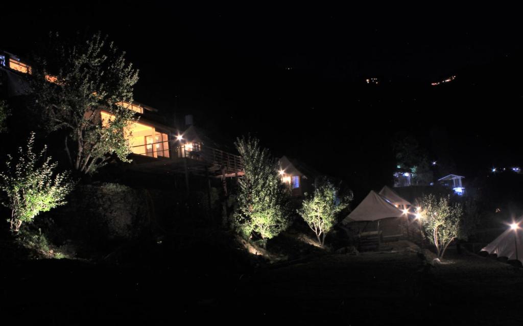 View