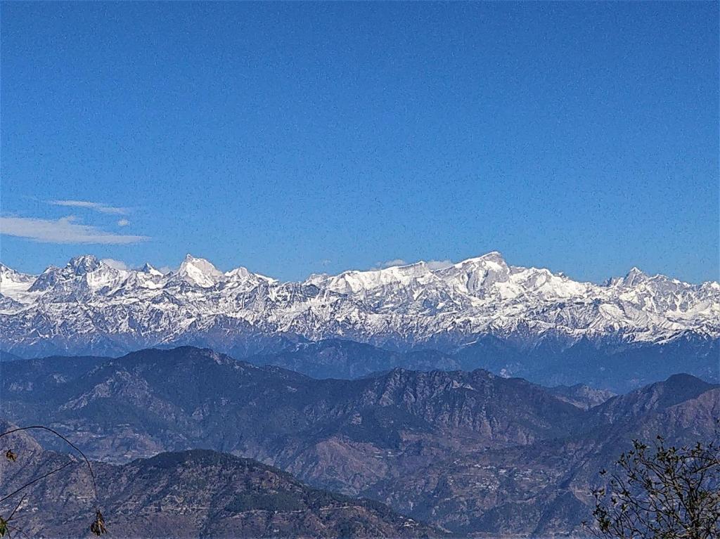 View