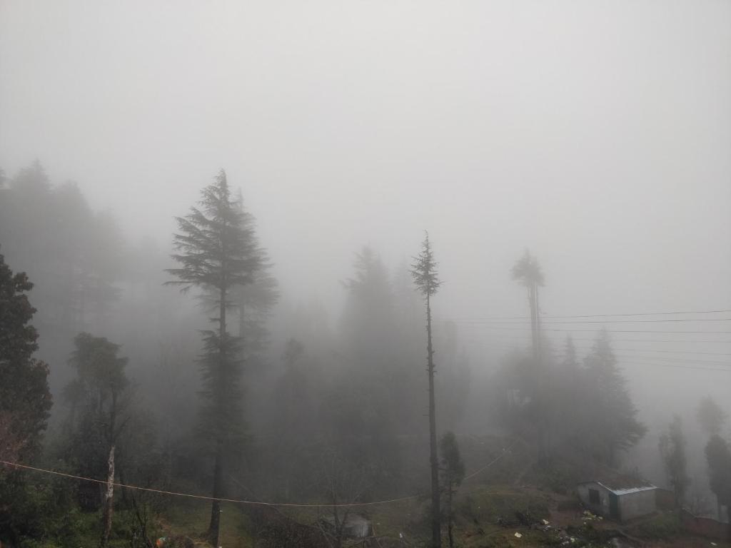 Surrounding environment