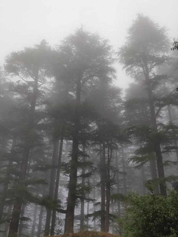 Surrounding environment
