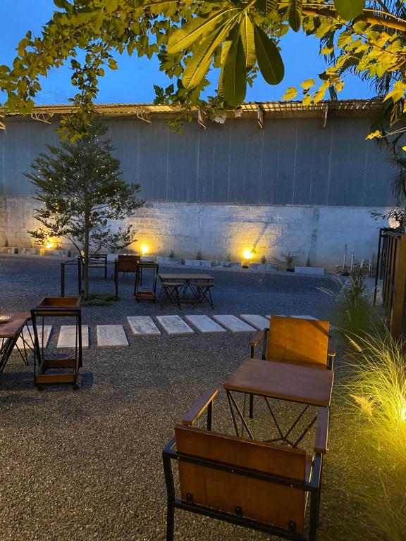 The Backyard House photo