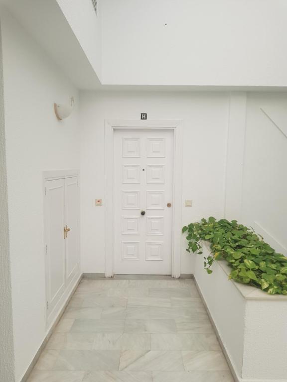 Estudio-Suite - 5