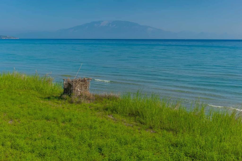 Mirage by The Sea photo