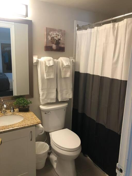 Freshly Upgraded Cozy Studio @ North Creek Resort photo