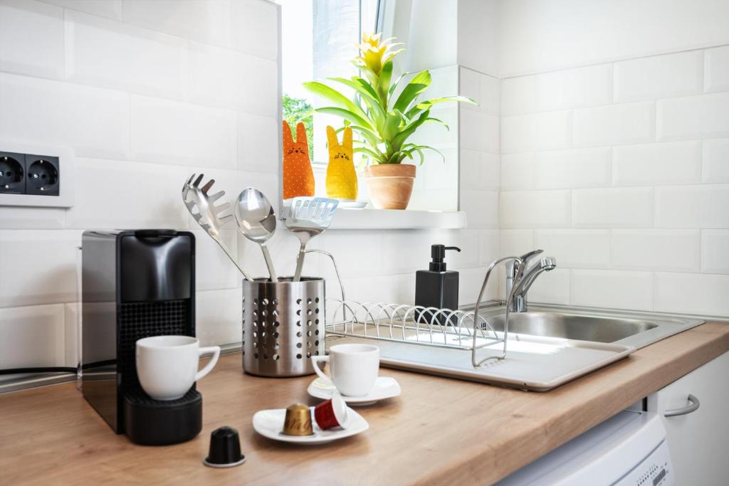 Studio apartment Financial Park Belgrade - 4