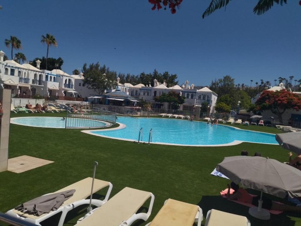 Amazing bungalow with wifi and terrace - 5