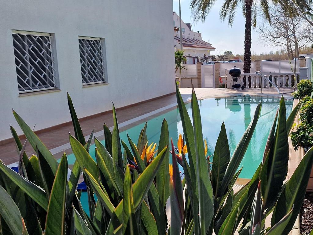 Riumar "La Pinya", 500m to beach, Privat-Pool, On-Site-Service, dog beach - 2