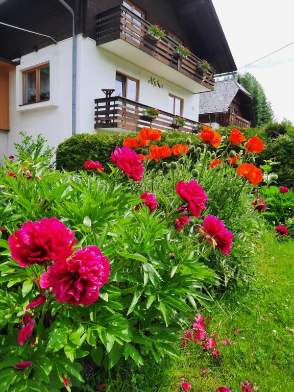 Haus Alpina - 2
