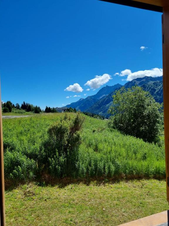 BMP APARTMENT EDELWEISS PASSO DEL TONALE - 2