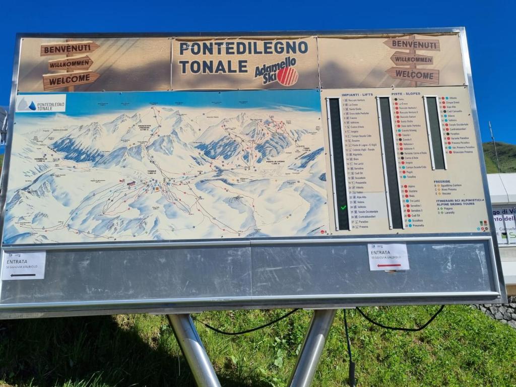 BMP APARTMENT EDELWEISS PASSO DEL TONALE - 5