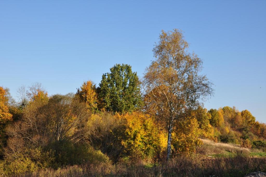 Baza Otdykha Kudykina Gora photo