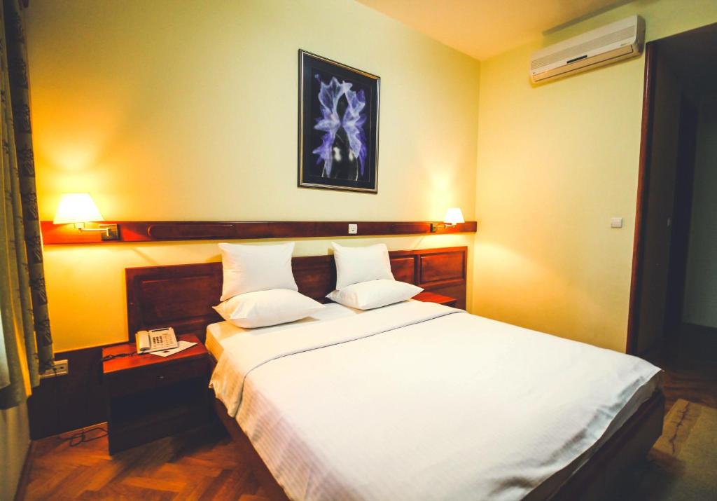 Hotel Vila Vrbas photo