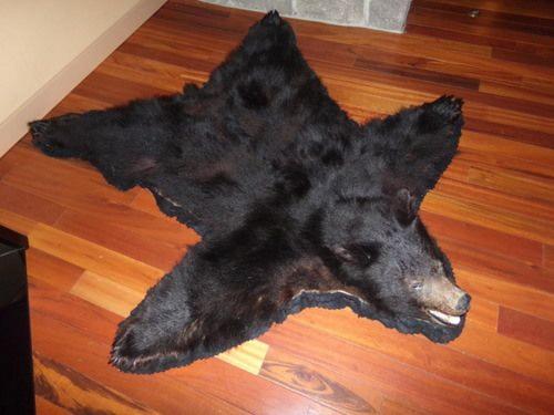 Cowlitz River Lodge photo
