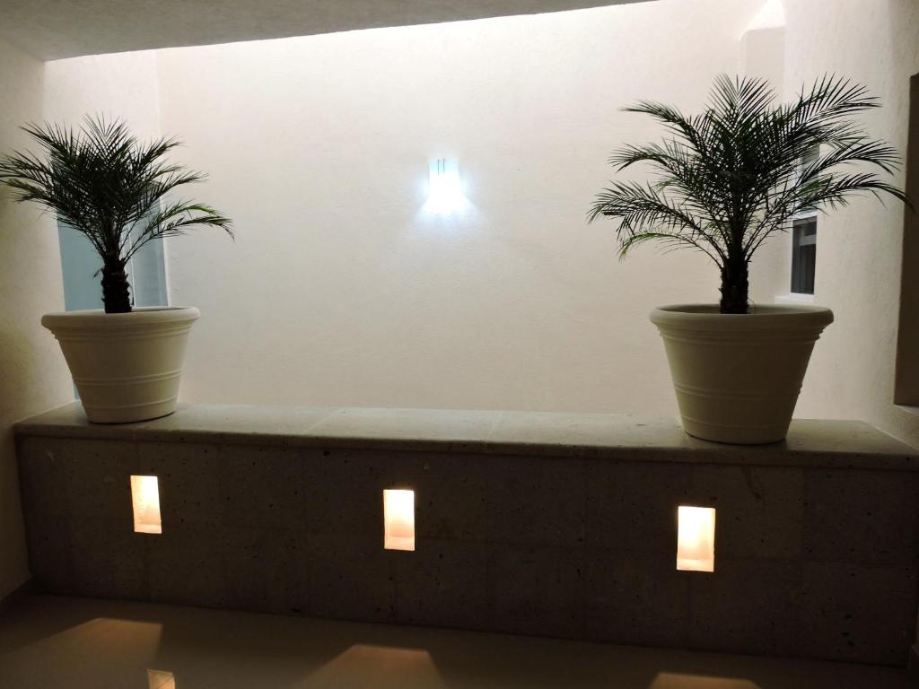 Casa Jasave Hotel photo