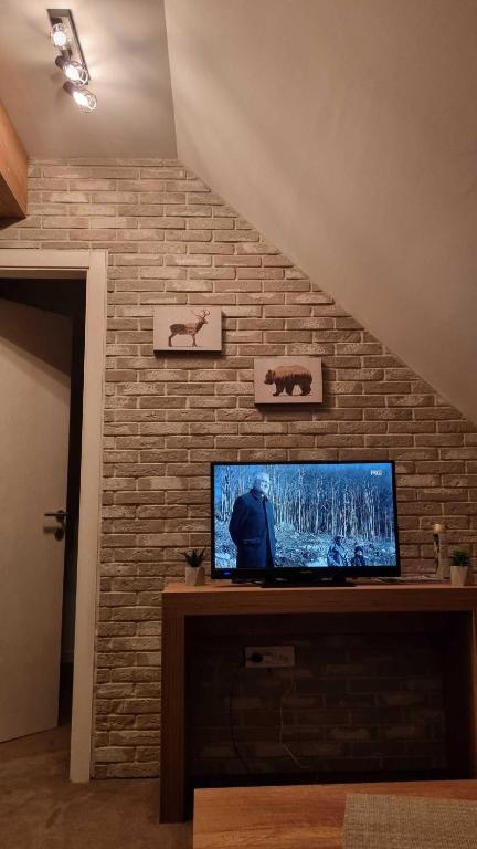 FEMI Kopaonik Apartment, Župa Aparthotel, Kopaonik Center - 3