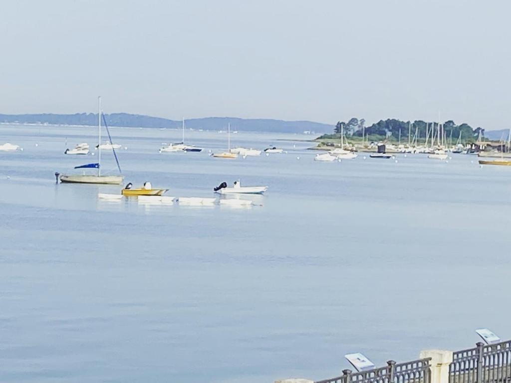 T2 Vue exceptionnelle sur le bassin d'Arcachon - 2