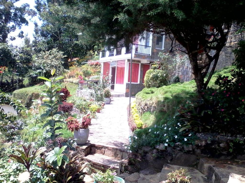 Surrounding environment