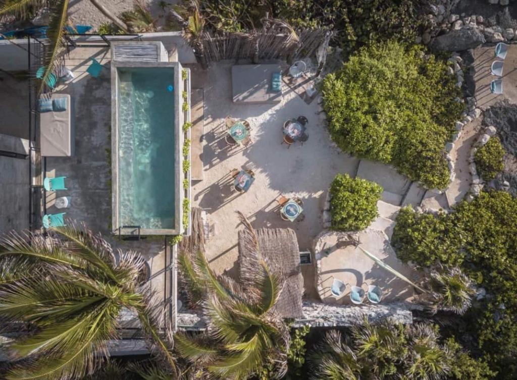 Rocky Villa in Tulum beach walking distance to papaya project! - 1