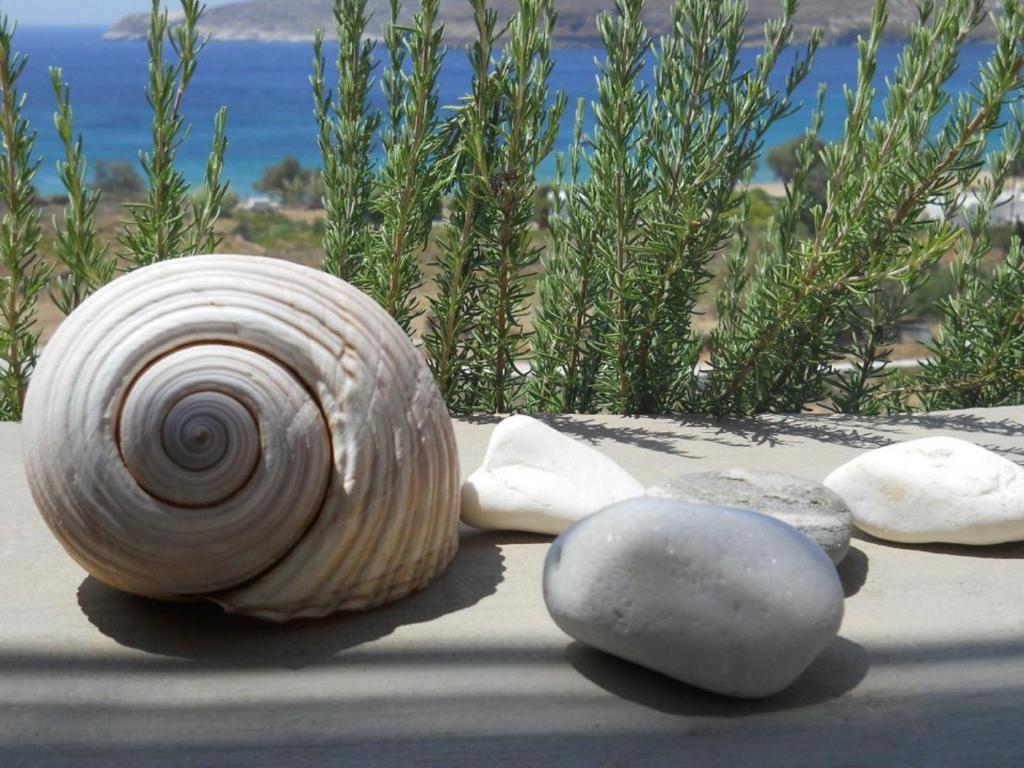 Serifos Dream Houses near the sea photo