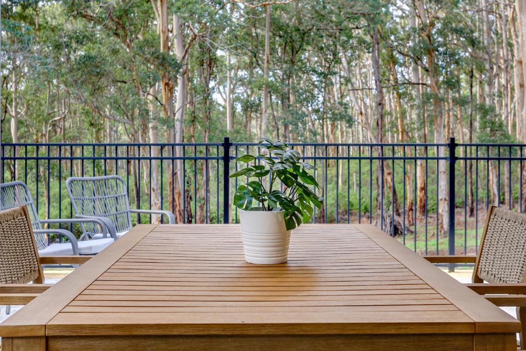 Karri Forest Vista-peaceful home with forest views photo